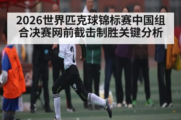 2026世界匹克球锦标赛中国组合决赛网前截击制胜关键分析