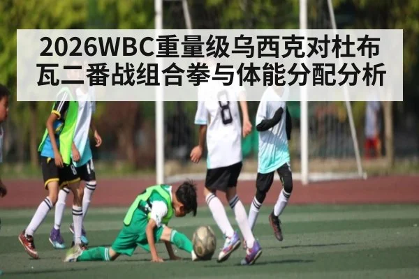 2026WBC重量级乌西克对杜布瓦二番战组合拳与体能分配分析